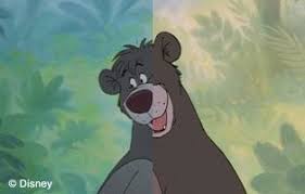 Résultat de recherche d'images pour "balou"